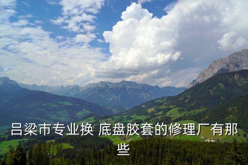 吕梁市专业换 底盘胶套的修理厂有那些