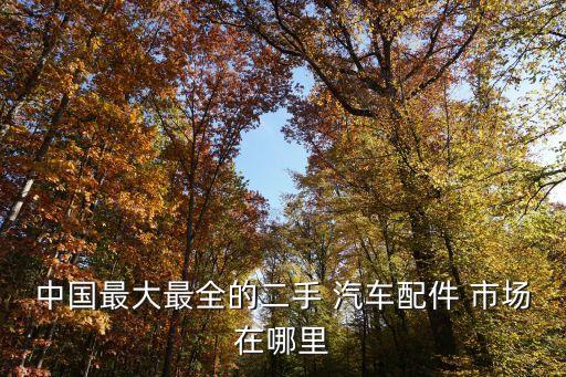 中国最大最全的二手 汽车配件 市场在哪里