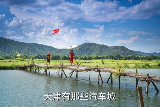 天津有那些汽车城