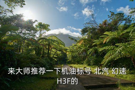 来大师推荐一下机油标号 北汽 幻速H3F的
