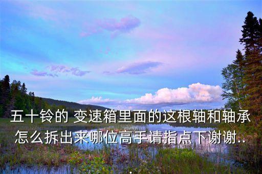五十铃的 变速箱里面的这根轴和轴承怎么拆出来哪位高手请指点下谢谢...