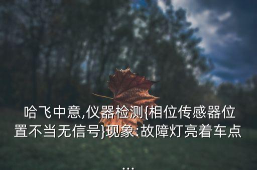  哈飞中意,仪器检测{相位传感器位置不当无信号}现象:故障灯亮着车点...
