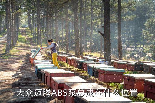 大众迈腾ABS泵总成在什么位置