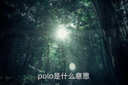 polo是什么意思