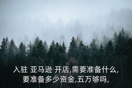 入驻 亚马逊 开店,需要准备什么,要准备多少资金,五万够吗,
