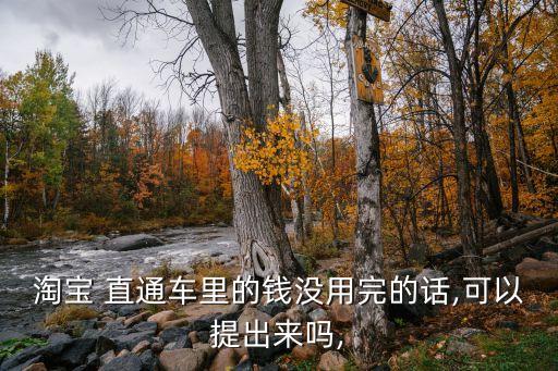 淘宝 直通车里的钱没用完的话,可以提出来吗,