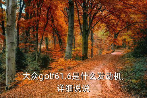 大众golf61.6是什么发动机,详细说说