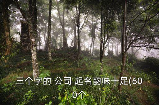 三个字的 公司 起名韵味十足(600个