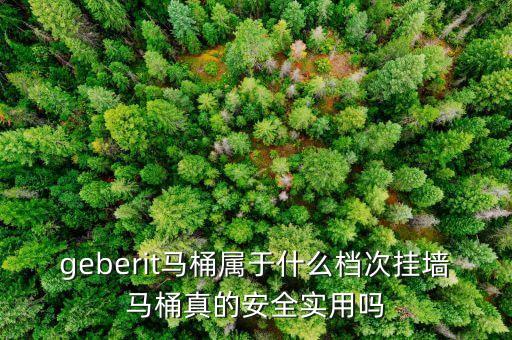 geberit马桶属于什么档次挂墙马桶真的安全实用吗
