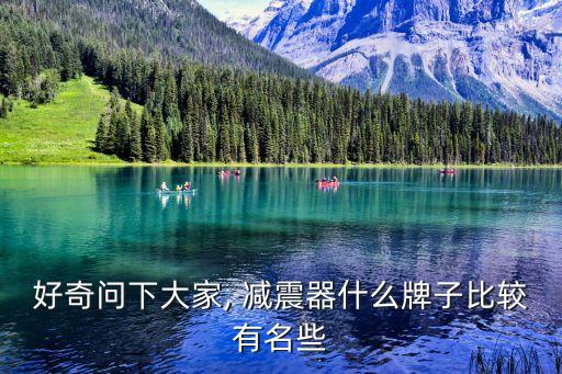 好奇问下大家, 减震器什么牌子比较有名些