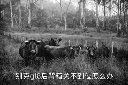  别克gl8后背箱关不到位怎么办