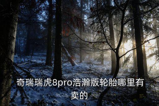  奇瑞瑞虎8pro浩瀚版轮胎哪里有卖的