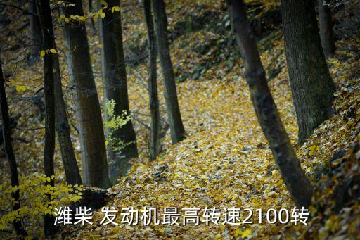  潍柴 发动机最高转速2100转