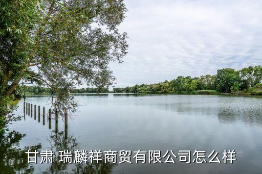 瑞麟配件