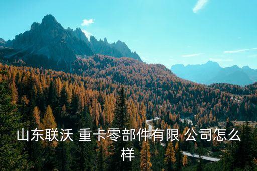 山东联沃 重卡零部件有限 公司怎么样