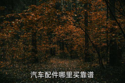进口汽配网站,买汽配,哪个网站最好