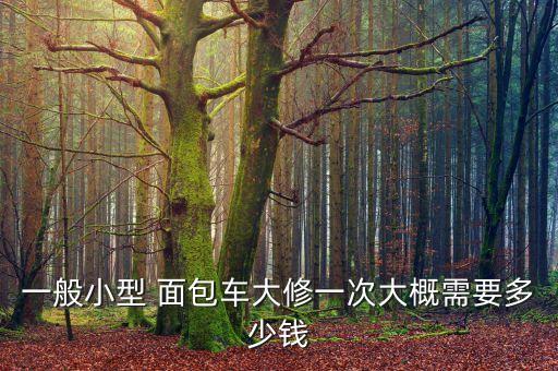 一般小型 面包车大修一次大概需要多少钱
