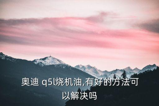  奥迪 q5l烧机油,有好的方法可以解决吗