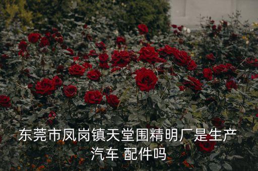  东莞市凤岗镇天堂围精明厂是生产 汽车 配件吗