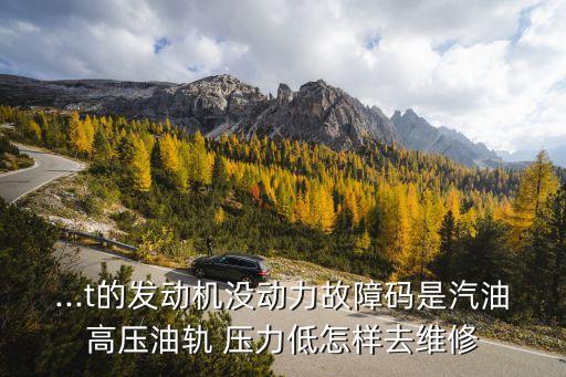 ...t的发动机没动力故障码是汽油高压油轨 压力低怎样去维修
