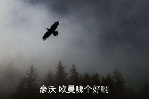 豪沃 欧曼哪个好啊