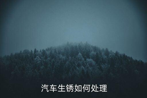  汽车生锈如何处理