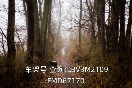  车架号 查询:LBV3M2109FMD67170