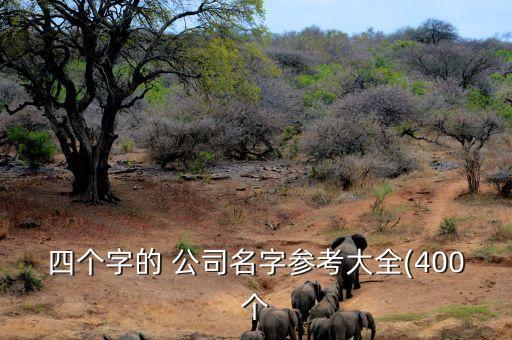 四个字的 公司名字参考大全(400个