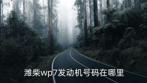  潍柴wp7发动机号码在哪里