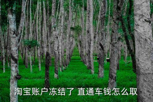 淘宝账户冻结了 直通车钱怎么取