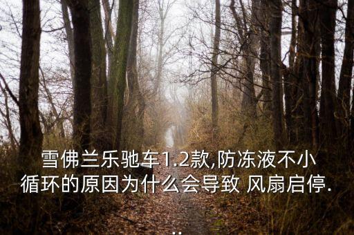  雪佛兰乐驰车1.2款,防冻液不小循环的原因为什么会导致 风扇启停...