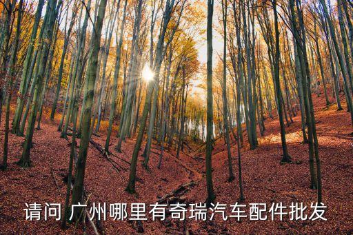 请问 广州哪里有奇瑞汽车配件批发