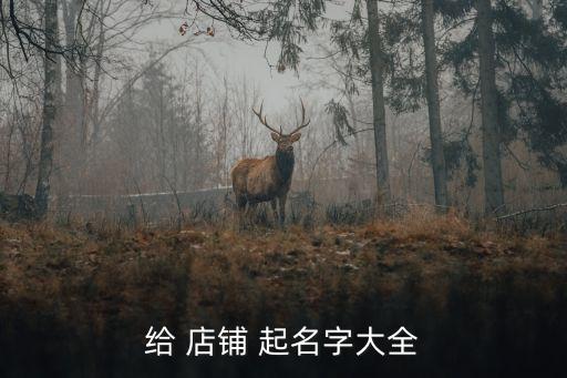 给 店铺 起名字大全