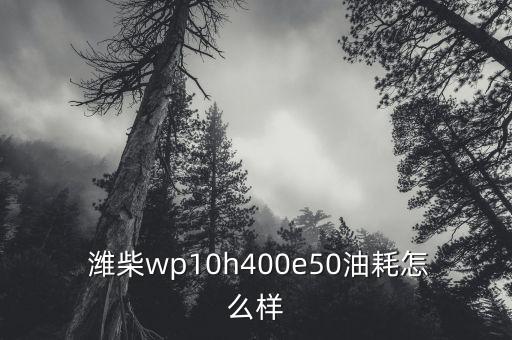  潍柴wp10h400e50油耗怎么样