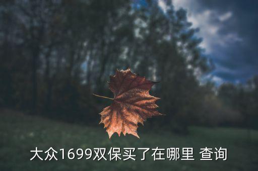 大众1699双保买了在哪里 查询