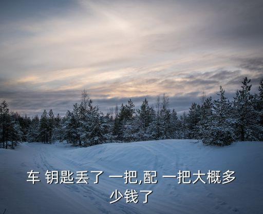 车 钥匙丢了 一把,配 一把大概多少钱了