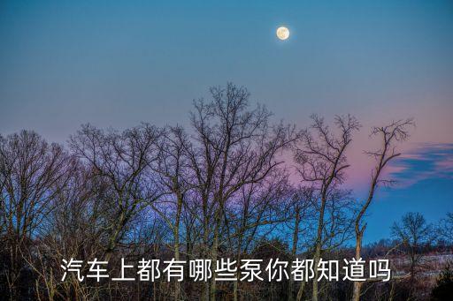 汽车上都有哪些泵你都知道吗