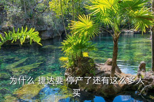 为什么 捷达要 停产了还有这么多人买