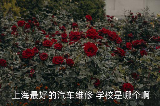  上海最好的汽车维修 学校是哪个啊