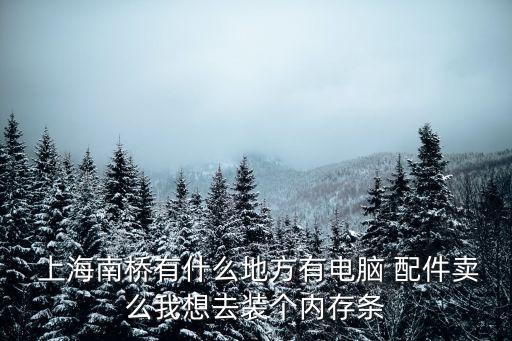  上海南桥有什么地方有电脑 配件卖么我想去装个内存条