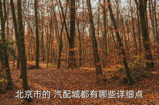 全国汽车汽配哪里全,汽车汽配哪里有附近的地方