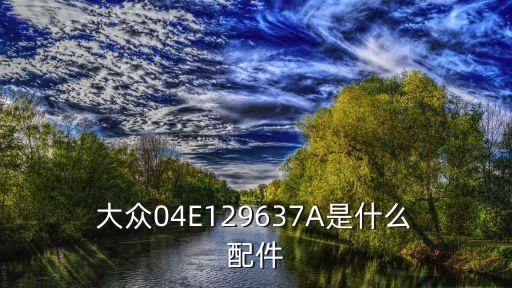  大众04E129637A是什么 配件
