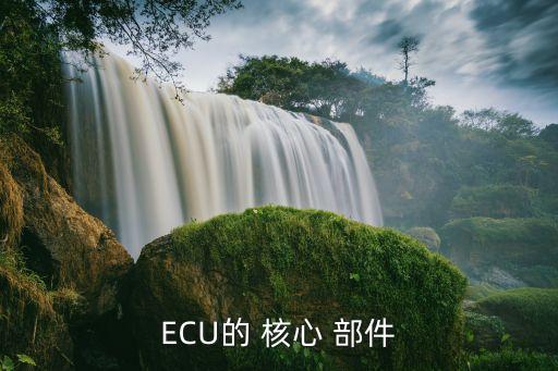 ECU的 核心 部件