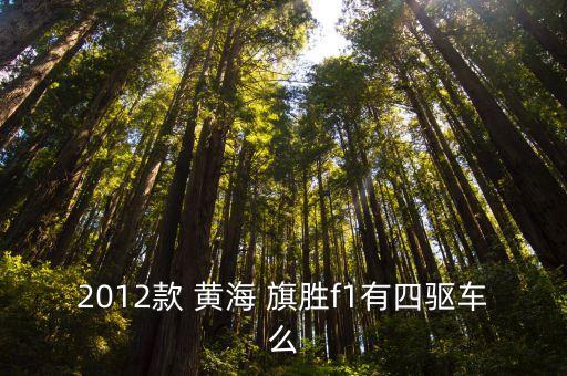 2012款 黄海 旗胜f1有四驱车么