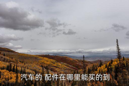  汽车的 配件在哪里能买的到
