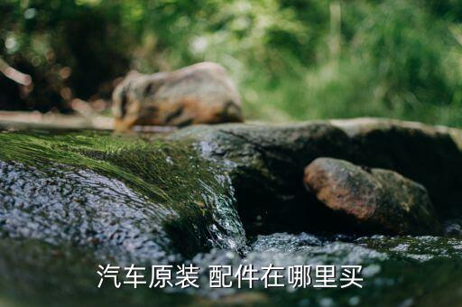 汽车原装 配件在哪里买