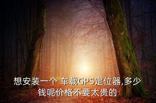 想安装一个 车载GPS定位器,多少钱呢价格不要太贵的