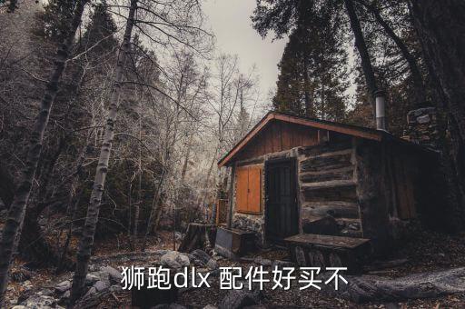  狮跑dlx 配件好买不