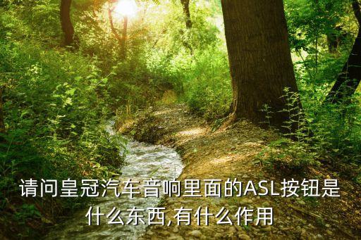 请问皇冠汽车音响里面的ASL按钮是什么东西,有什么作用