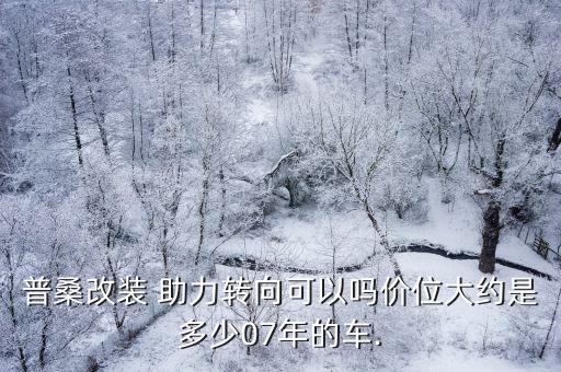 普桑改装 助力转向可以吗价位大约是多少07年的车.